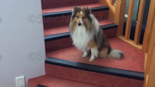 residential stair nosing