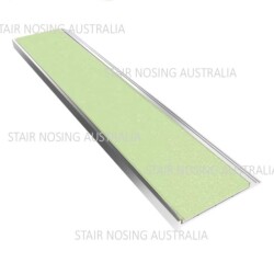 Cheap glow in the dark nosing